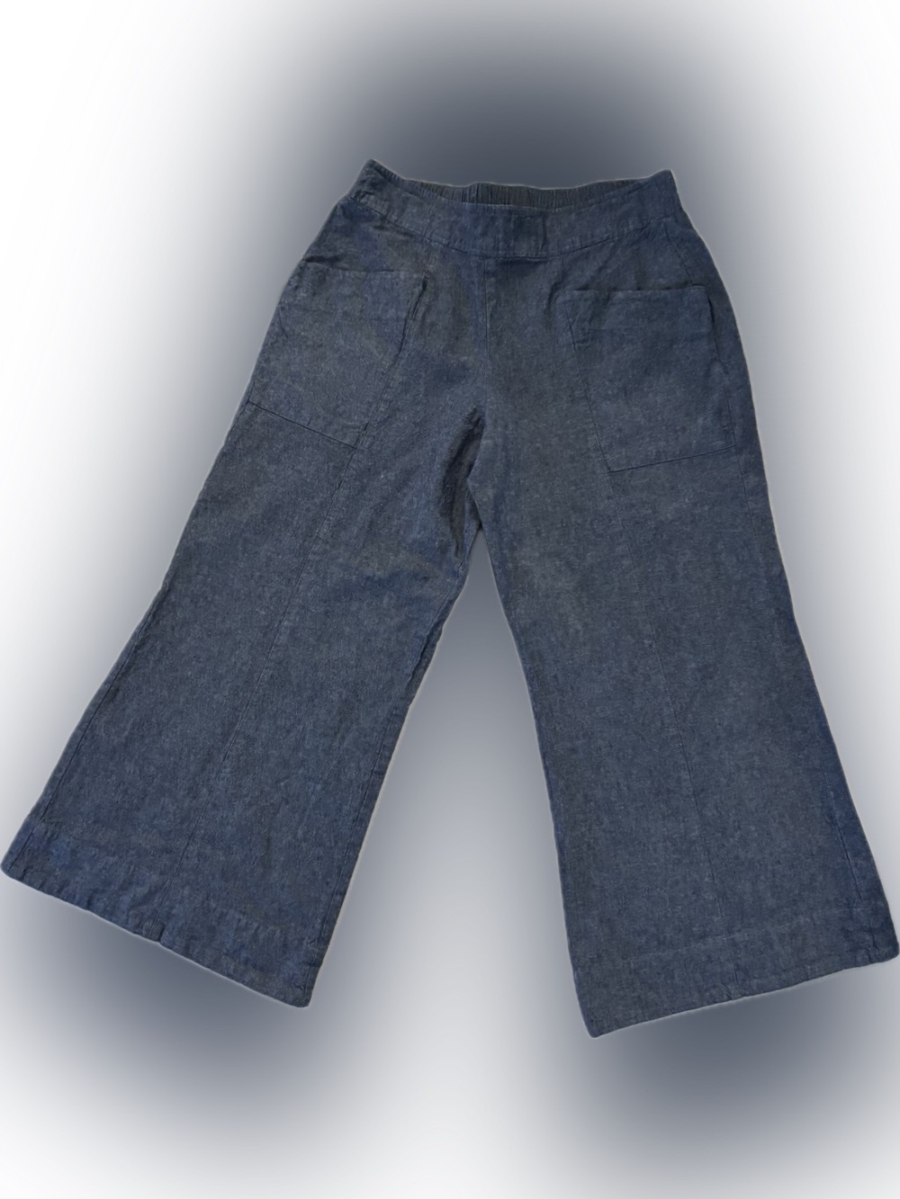 ivy jane Chambray Wide-Leg Cropped Pull-On Pants